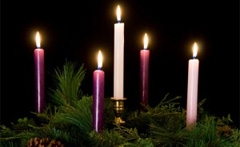 Advent Resources & Devotionals Available